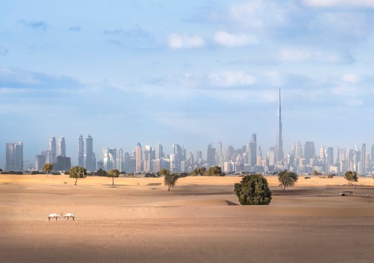 Renting a Supercar in Downtown Dubai: Burj Khalifa Drives & Delivery